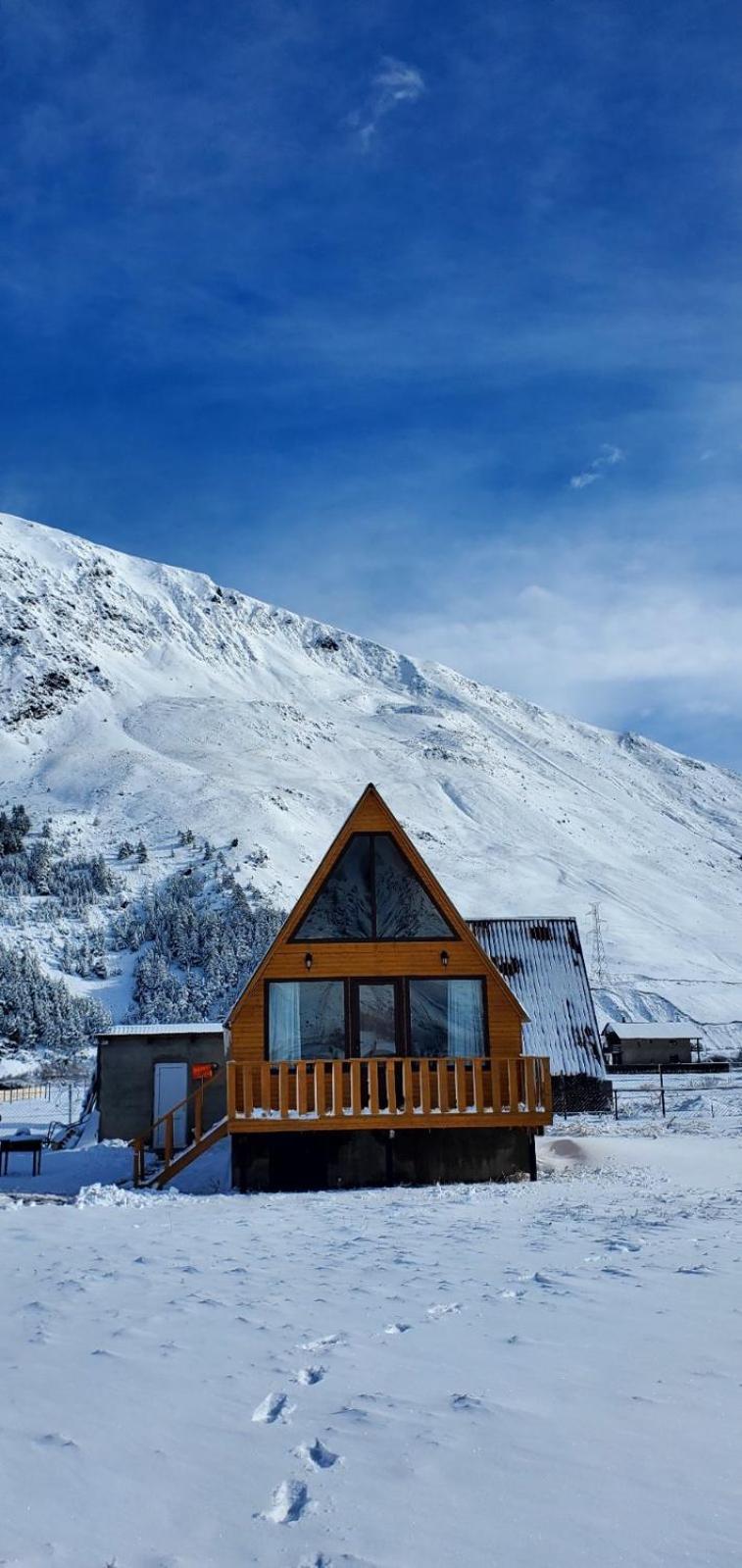 Mountain Hut In Kazbegi Villa Exterior photo