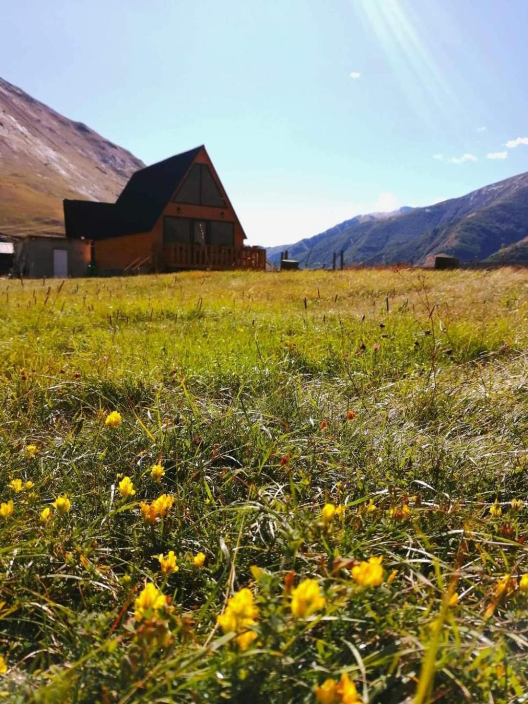 Mountain Hut In Kazbegi Villa Exterior photo